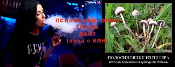 прущие грибы Армянск
