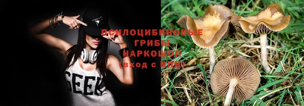 МДПВ Аркадак